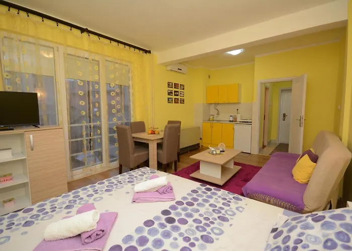 Apartman Sladja Vrnjacka Banja