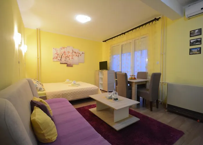 Sladja Apartman Vrnjacka Banja